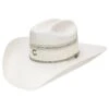 RESISTOL Charlie 1 Horse Ransom Straw Hat -Western Denim Store CSRNSM 304281
