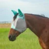 Cashel Mint Fly Mask With Ears -Western Denim Store cfmhse 20mt